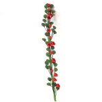 Rosenranke Kletterrosen rot