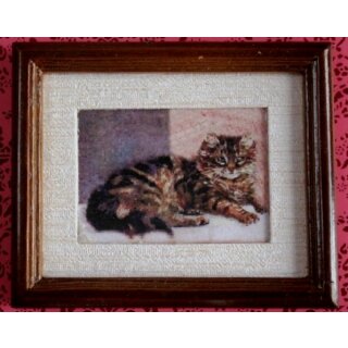 Bild Liegende Katze