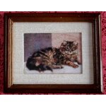 Bild Liegende Katze