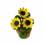 Sonnenblume