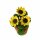 Sonnenblume
