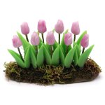 Tulpen rosa im Beet