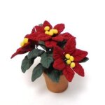 Weihnachtsstern Poinsettia