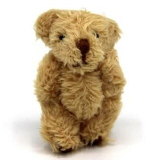 Teddybär Wuschel