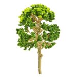 Bäumchen Baum 14 cm