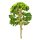 Bäumchen Baum 14 cm