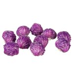 Rotkohl Rotkraut 1 Stück