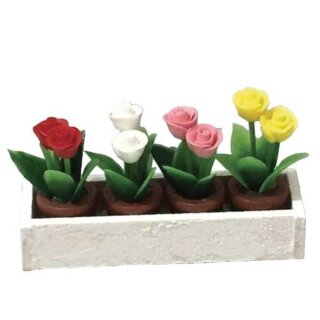 Blumenkasten mit 4 einzelnen Töpfchen