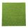 Wiese Rasen Grasmatte