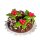 Torte Christmas Weihnacht
