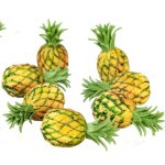 Ananas 1 Stück