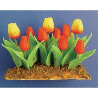 Tulpen rot-gelb im Beet