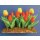 Tulpen rot-gelb im Beet