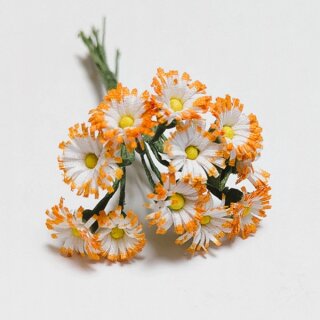Blütenstengel Gerbera 12 Stück
