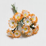 Blütenstengel Gerbera 12 Stück