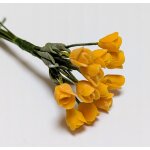Blütenstengel Tulpe mit Blatt 12 Stück