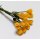 Blütenstengel Tulpe mit Blatt 12 Stück