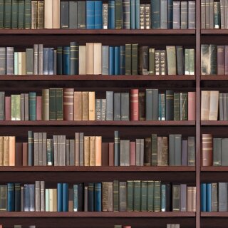 Tapete Bücherwand