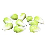 Romana Salat 2 Stück