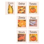 Samentütchen Saatgut 8 Stück