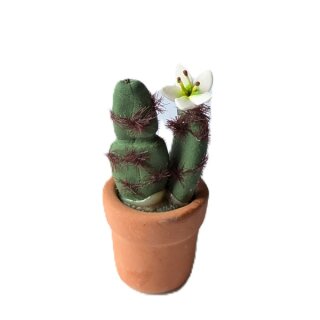 Kaktus