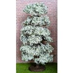 Baum weiß blühend 20 cm