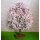 Baum rosa blühend 16 cm