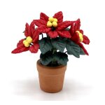 Weihnachtsstern Poinsettia