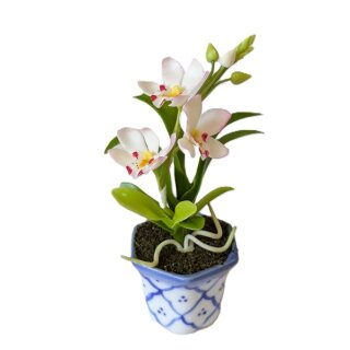 Große Orchidee