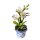 Große Orchidee