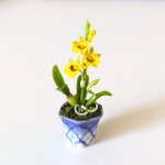 Orchidee gelb