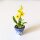 Orchidee gelb