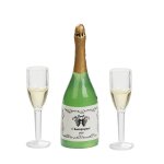 Champagnerflasche mit 2 Gläsern