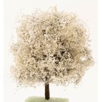Baum weiß blühend 12 cm