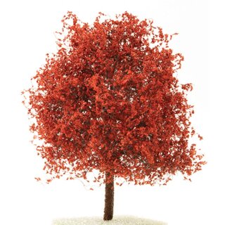 Baum Ahorn Bäumchen 12 cm