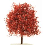 Baum Ahorn Bäumchen 12 cm