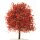 Baum Ahorn Bäumchen 12 cm