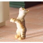 Katze Hungry Harry