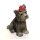 Hund Yorkshire Boo